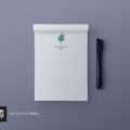 Blueberries_V1